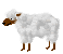 �r