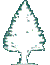 small tree
